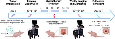 3D Ultrasound-Guided Photoacoustic Imaging to Monitor the Effects of Suboptimal Tyrosine Kinase Inhibitor Therapy in Pancreatic Tumors